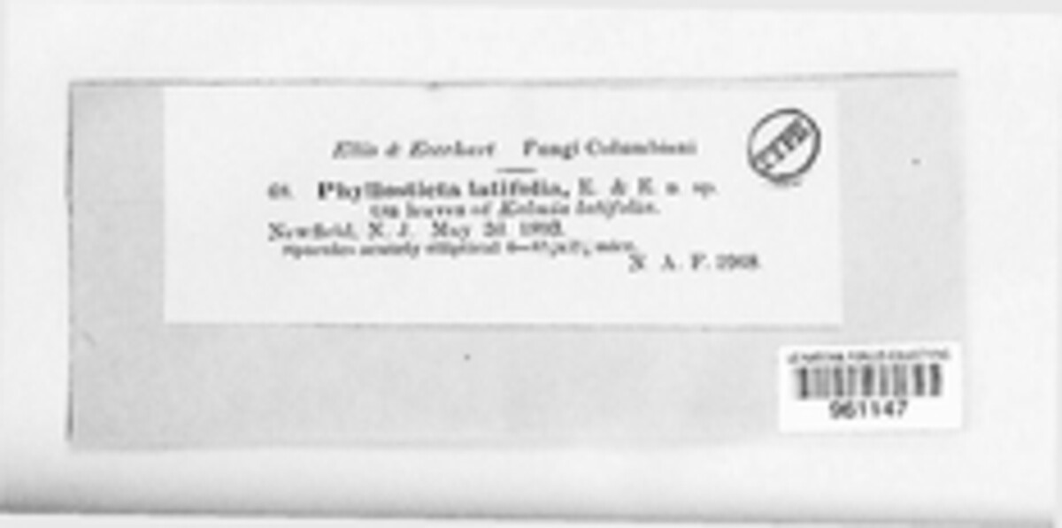 Phomopsis latifolia image